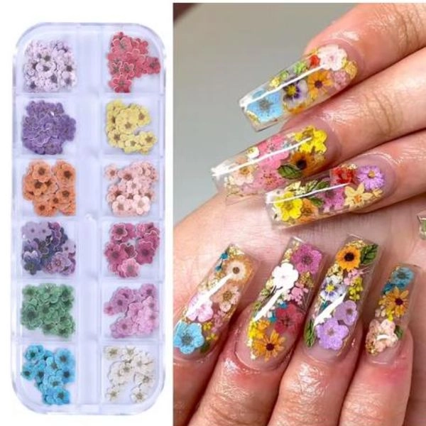 Nail art kit - dried flowers, mix