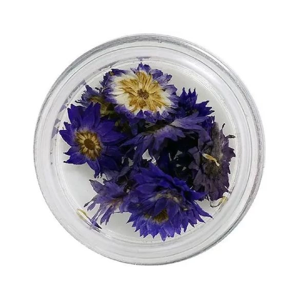 Dried flowers – dark blue