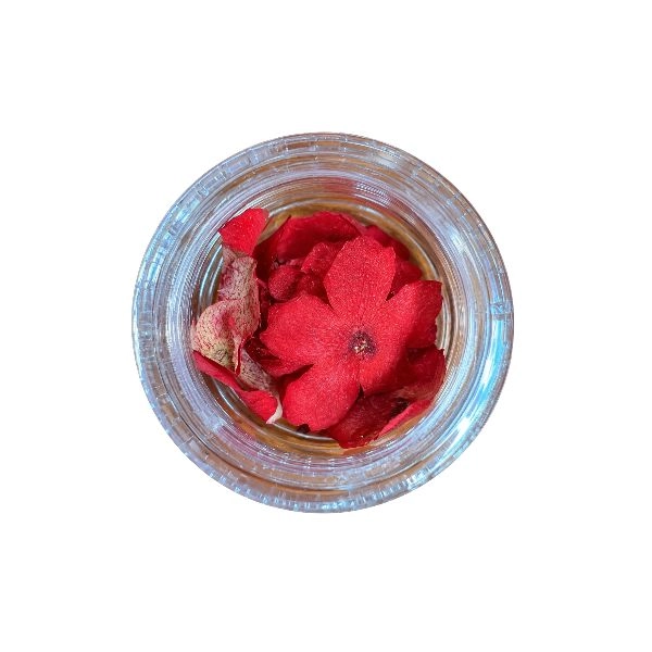 Dried Flowers – Dusty Pink