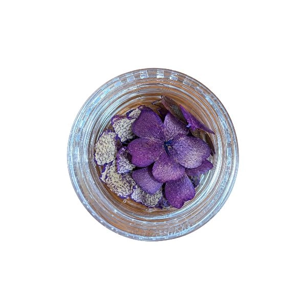 Dried Flowers – Dark Purple
