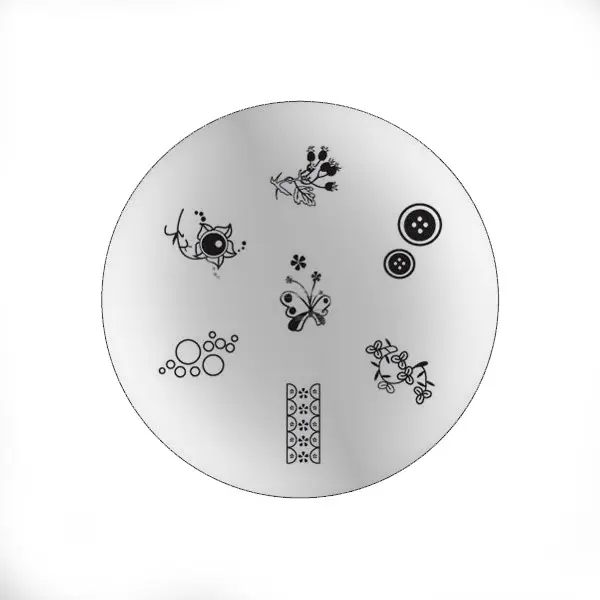 Nail stamping plate B10 - various ornaments