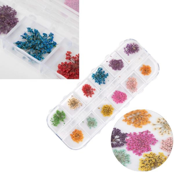 Nail art kit - dried flowers 12x5g