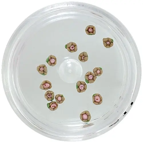 Light brown acrylic flowers for nail art