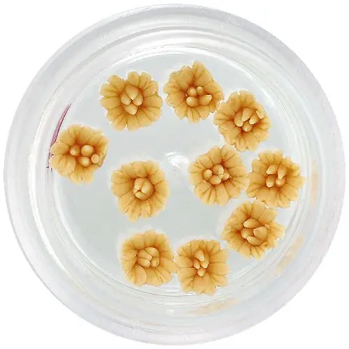 Acrylic flowers – mustard yellow