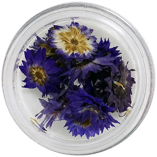 Dried flowers - violet
