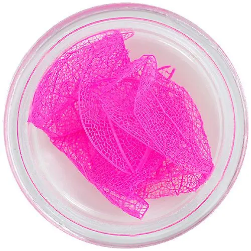 Pink leaves for nail art – dried