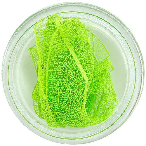 Light green dried leaves