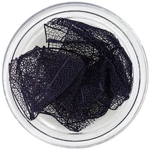 Black leaves for nail art – dried