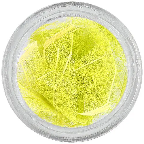 Light green dried leaves