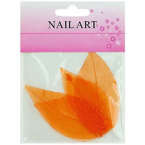 Dried leaves – orange