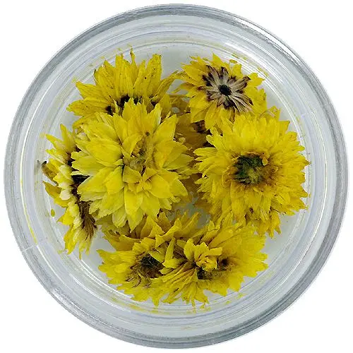 Dried flowers – yellow