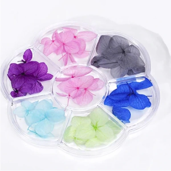 Dried flowers - nail art kit