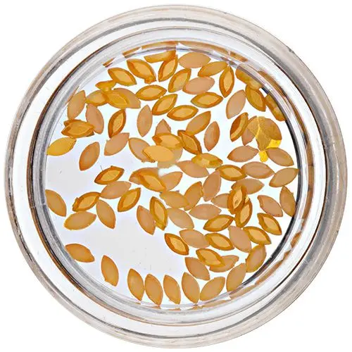 Ovals for Nail Decorations - Orange-Yellow, Pearl