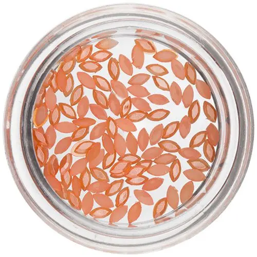 Orange Nail Art Decorations - Ovals, Pearlescent