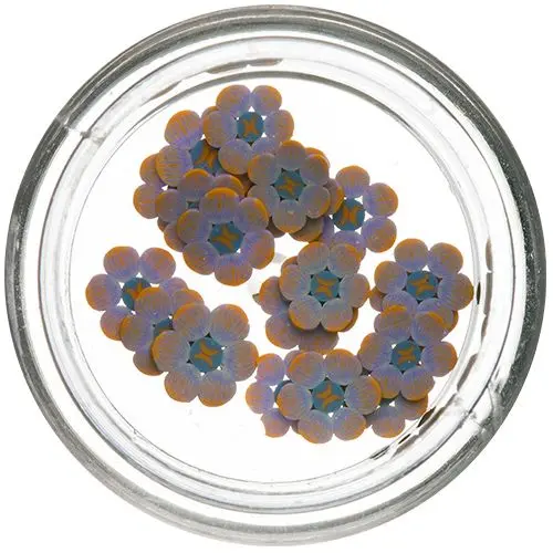 Fimo Nail Art - Flower Slices